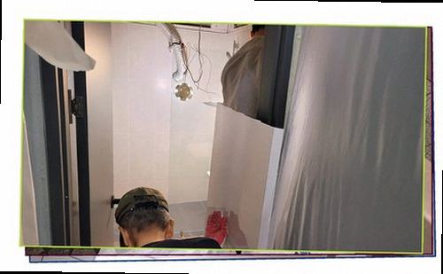 서울 중구 누수탐지 천장과 벽면에 나타난 누수 흔적을 확인하는 모습