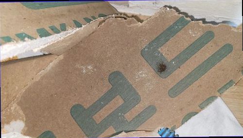 가평 누수탐지 수분 측정기로 벽면의 습도 차이를 확인하는 현장