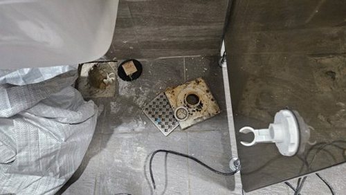 여주 현장 진단 여주 현장 진단