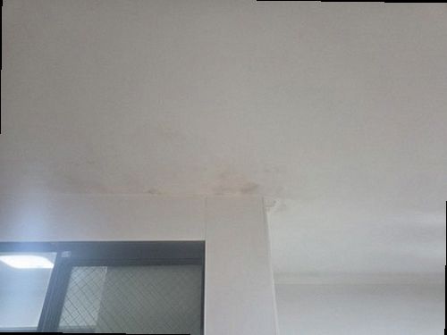 분당구 누수탐지 백현동 단독주택 지하 1층 벽면 시공 후기 사진