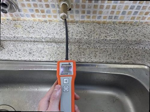 양주 재점검 기록