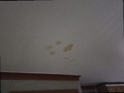 누수탐지 고색동 누수탐지 누수공사업체 물자국 발견 후 언제 확인할까요?