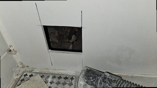 수지구 근거 설명 수지구 근거 설명