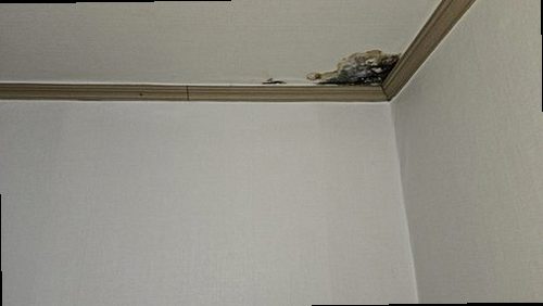 동대문구 누수탐지 답십리동 아파트 6층 세탁실 시공 후기 사진