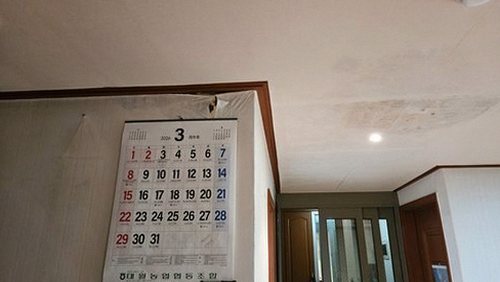 누수탐지 보산동 누수탐지 빌라 천장 얼룩 원인부터 해결까지