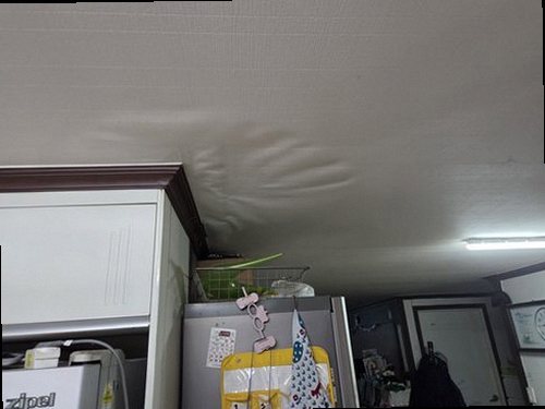 장안구 현장 확인
