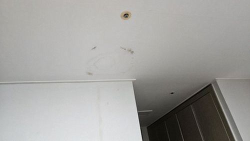 누수탐지 처치 후 천장 얼룩 변화 비교 사진