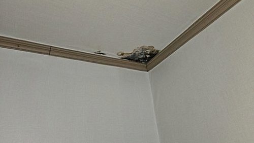 누수탐지 백석동 누수탐지 위층바닥누수 방치하면 아랫집 피해 커집니다