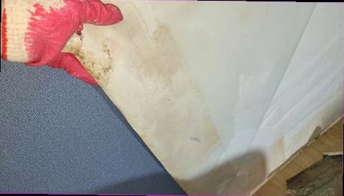 강남구 누수탐지 누수 흔적과 점검 과정을 살피는 실내 점검 장면