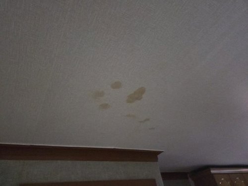 누수탐지 송월동 누수탐지 아파트 천장 얼룩 해결까지 끝내는 흐름