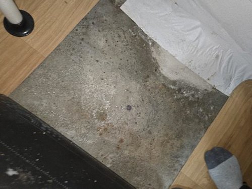 누수탐지 목감동 누수탐지 아파트 거실 천장 얼룩 원인과 처치 후 변화