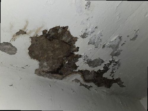 의정부 누수탐지 신곡동 상가 지하 창고 벽 시공 후기 사진
