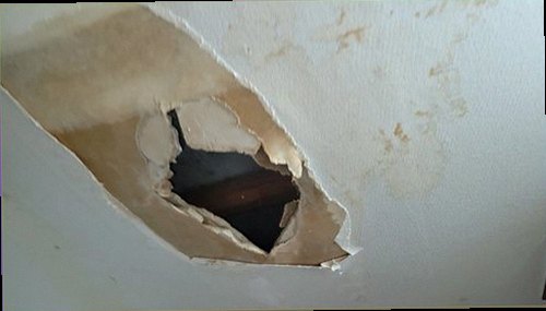 관악구 누수탐지 바닥과 벽면의 미세한 습기 흔적을 확인하는 장면