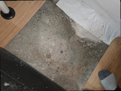 만안구 누수탐지 석수동 아파트 11층 거실 천장 시공 후기 사진