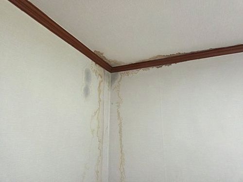 누수탐지 농서동 누수탐지 아파트 안방 천장 얼룩 원인 찾기