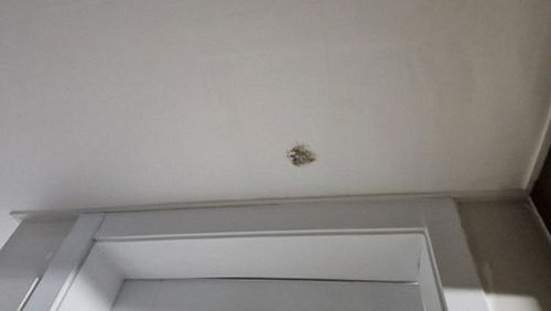 누수탐지 욕실 배관 연결부 점검 장면