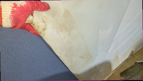 누수탐지 실내 누수 징후를 확인하는 현장 점검 장면