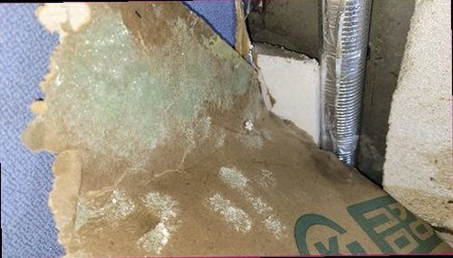 누수탐지 천장 얼룩과 벽면 변색을 살펴보는 점검 장면