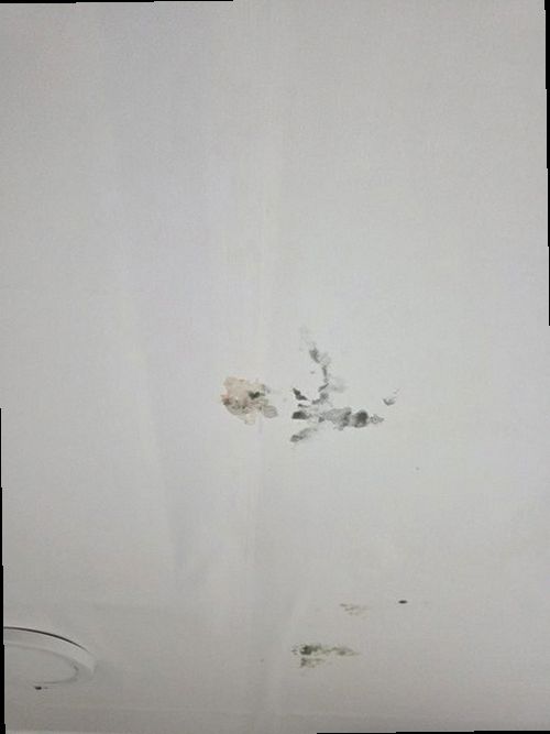 병점구 누수탐지 송산동 단독주택 1층 마당 수도관 시공 후기 사진