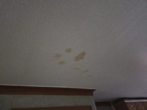 누수탐지 성내동 누수탐지 누수원인찾는법 미루면 벽지 뒤가 상합니다