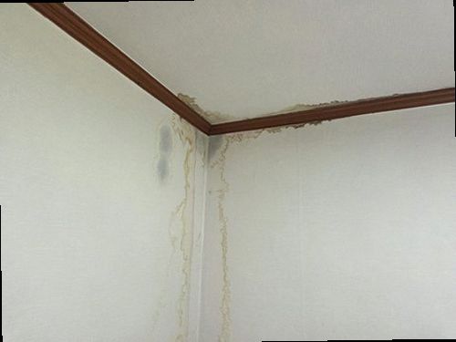 노원구 누수탐지 중계동 빌라 3층 거실 벽면 시공 후기 사진