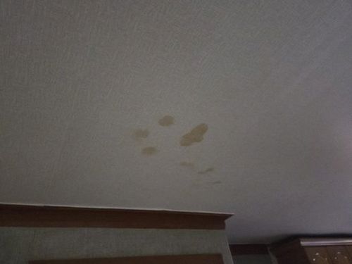 누수탐지 상계동 누수탐지, 안방 천장 원인은 어떻게 가릴까