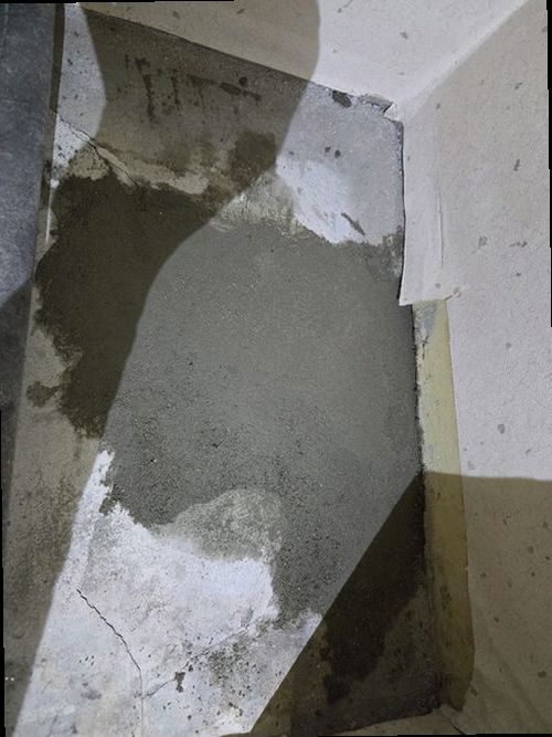 누수탐지 벽면 곰팡이 자국의 위치와 번짐 양상을 기록한 점검 사진
