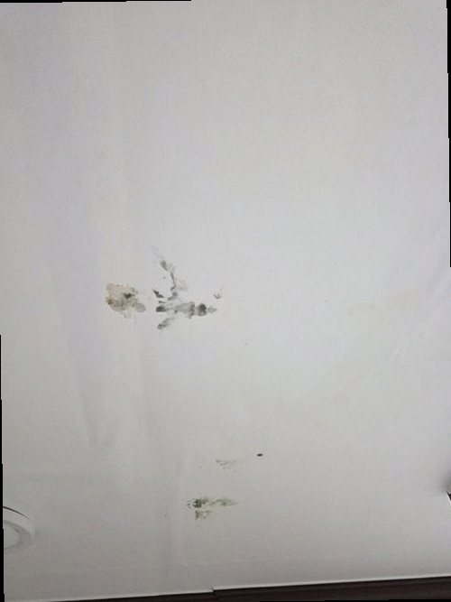 양천구 누수탐지 신월동 아파트 5층 안방 벽면 시공 후기 사진