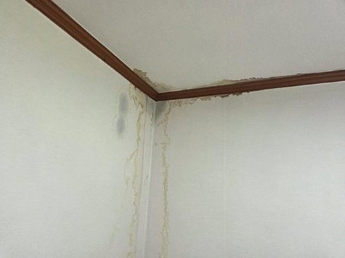 누수탐지 주성동 누수탐지 아파트 거실 천장 얼룩 당일에 원인 찾기