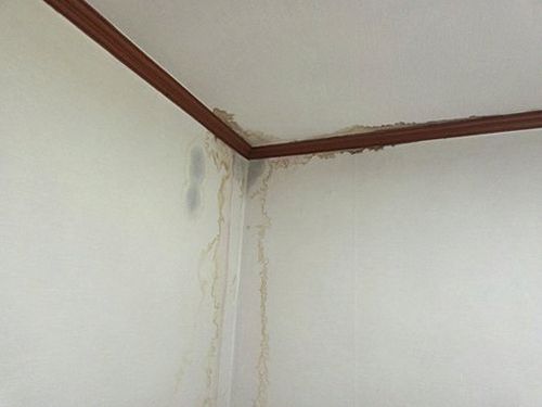 누수탐지 과천동 누수탐지 누수공사도배 거실 누수 해결 기준