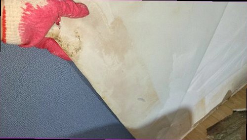 누수탐지 벽면 얼룩과 바닥 모서리 상태를 확인하는 점검 장면