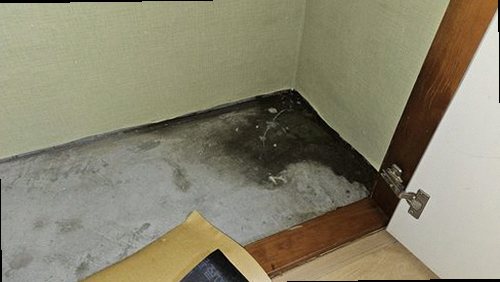 급수관 누수 연천 누수탐지 급수관 누수