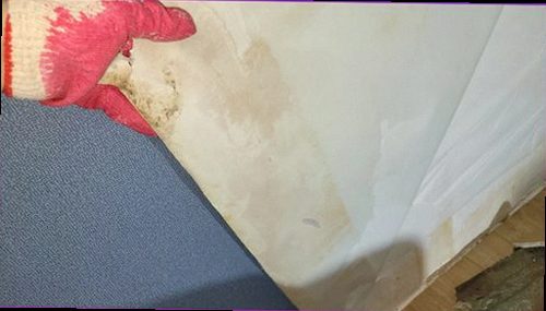 오산 누수탐지 천장 모서리에 번진 누수 흔적과 벽지 변색을 확인하는 모습