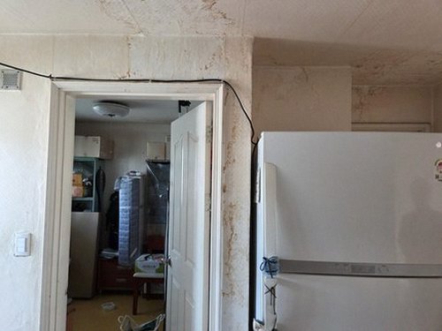 누수탐지 계량기 확인과 배관 압력 검사의 차이를 보여주는 점검 장면