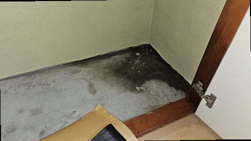 포천 누수탐지 내촌면 아파트 6층 거실·작은방 바닥 시공 후기 사진