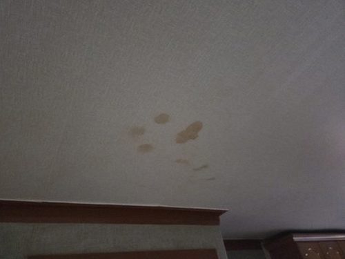 누수탐지 창수면 누수탐지 아파트 안방 천장 얼룩 해결 정리