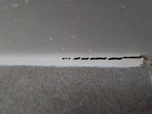 누수탐지 상사창동 누수탐지란 무엇인가 아파트 거실 천장 물자국
