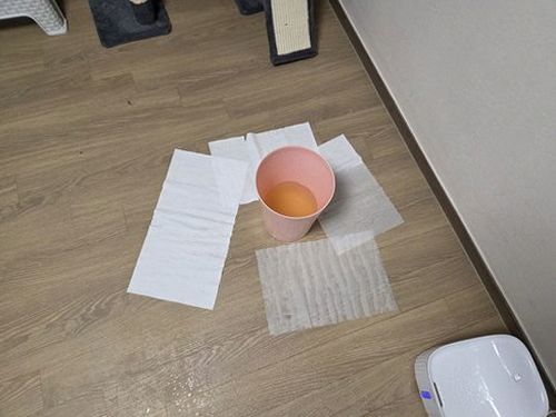 누수탐지 거실 천장 얼룩을 살펴보는 점검 장면