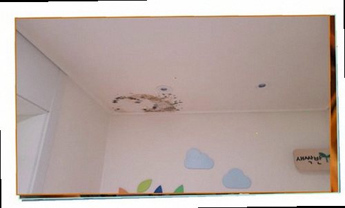 성동구 누수탐지 천장 얼룩과 바닥 습기 상태를 확인하는 현장 점검 이미지