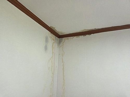 누수탐지 망포동 아파트 거실 누수탐지, 당일에 비용 확인하는 법