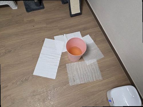 누수탐지 벽지 얼룩과 천장 누수 흔적을 살피는 점검 장면
