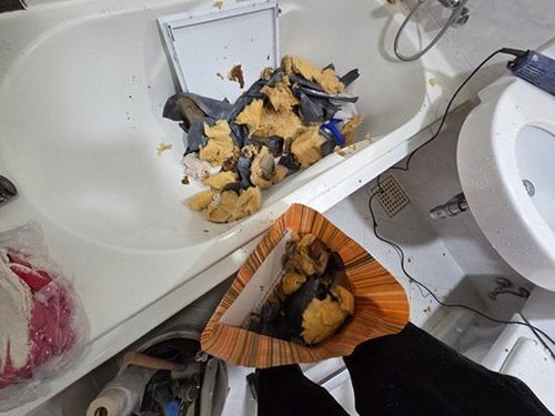누수탐지 성복동 누수탐지 화장실벽누수 단계별로 확인하는 방법