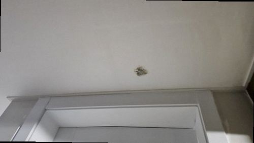 처인구 누수탐지 이동읍 송전리 전원주택 2층 창가 시공 후기 사진