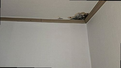 광진구 누수탐지 미세누수 정밀탐지