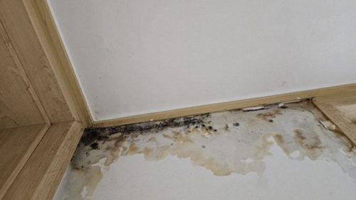 누수탐지 창천동 누수탐지 아래층천장누수 자가 점검과 전문가 진단 비교