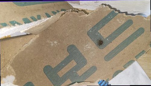 종로구 누수탐지 거실 벽면과 바닥의 미세한 변색을 확인하는 누수 진단 장면