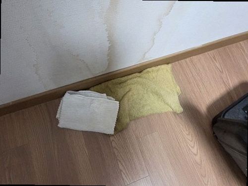 연천 누수탐지 전곡읍 단독주택 1층 거실 벽 시공 후기 사진