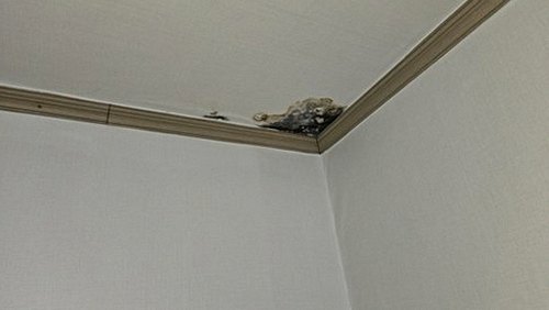 의왕 누수탐지 삼동 아파트 8층 다용도실 시공 후기 사진