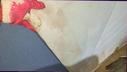 동대문구 누수탐지 누수 원인을 구분하는 점검 과정의 개념도