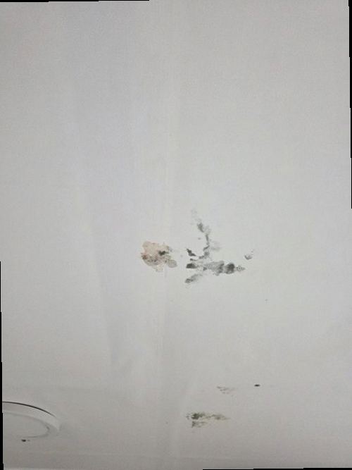 서대문구 현장 진단